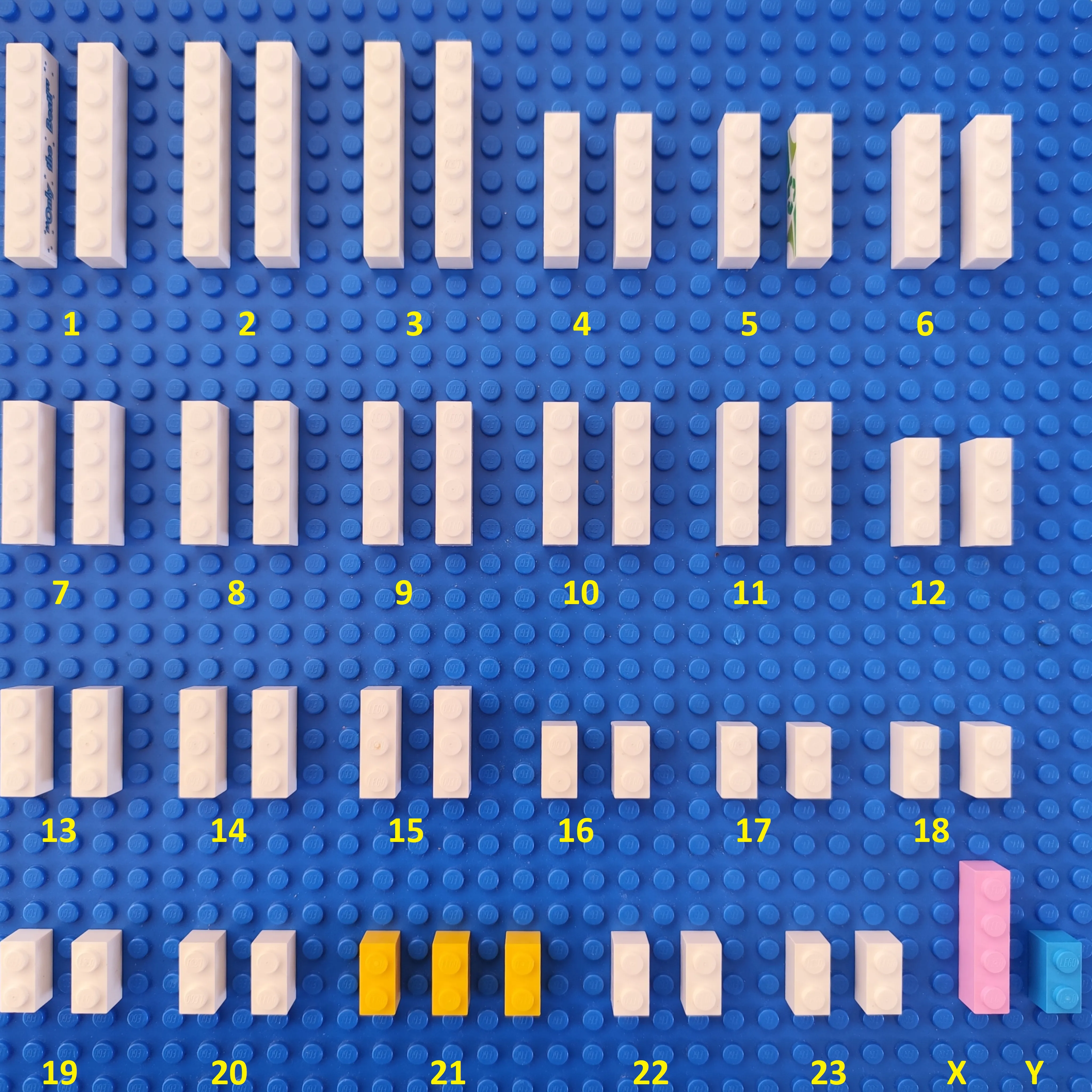 Caryotype-T21.webp